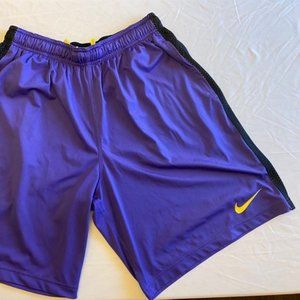 Nike Dri Fit Shorts Mens Size L Purple Drawstring Mesh Lined Sweat Logo Pockets